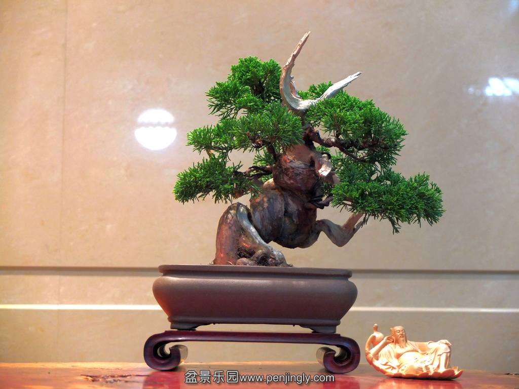 DSCF5004.jpg