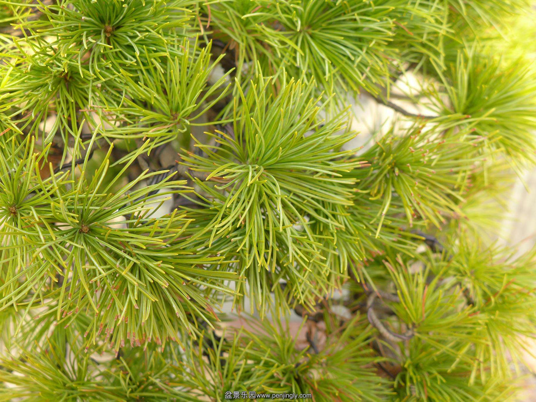 P1010823.JPG