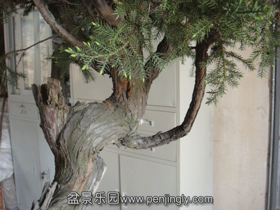 DSC06836.gif