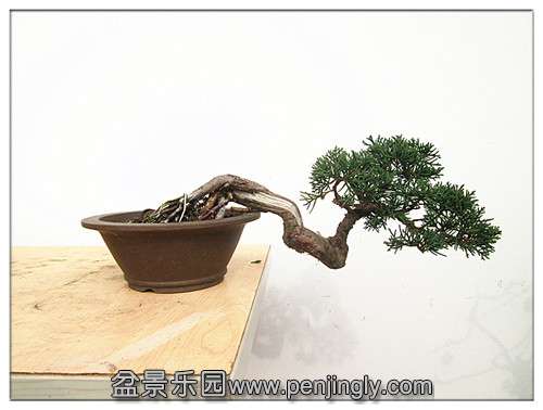 IMG_0461_副本.jpg