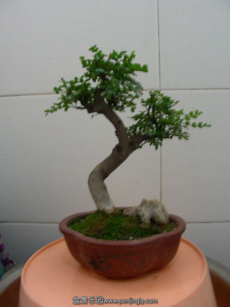 DSCN3566.JPG