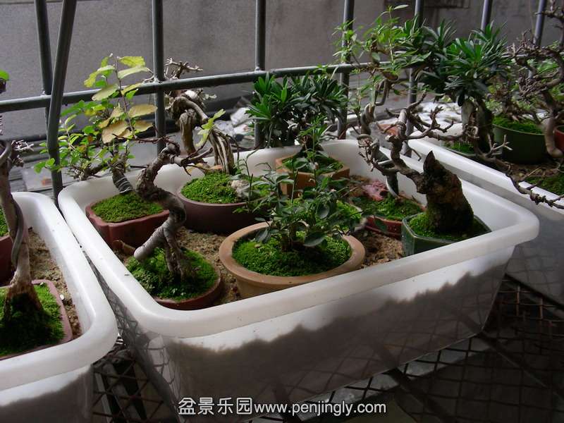 DSCN3612.JPG