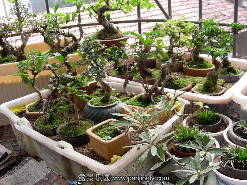 DSCN3604.JPG
