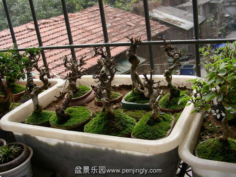 DSCN3605.JPG