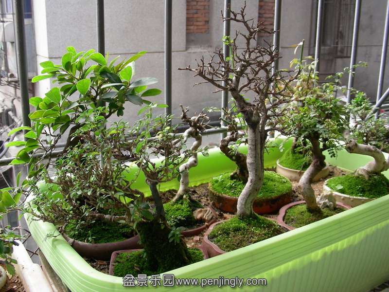 DSCN3607.JPG
