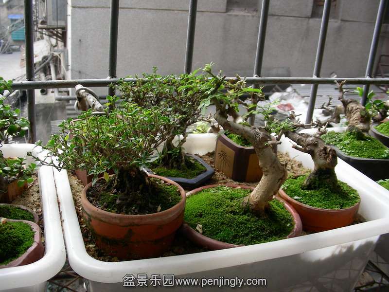 DSCN3609.JPG