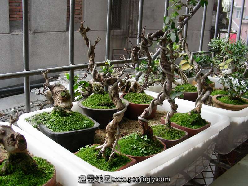 DSCN3610.JPG