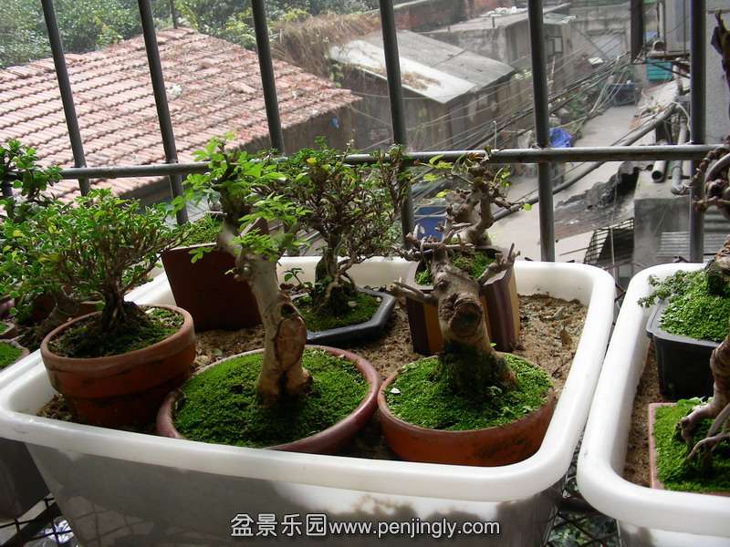 DSCN3611.JPG