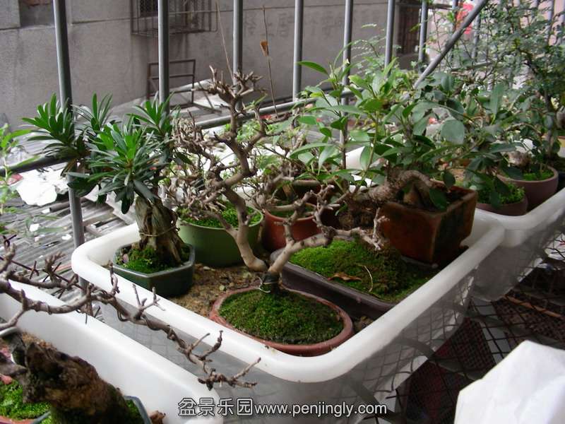 DSCN3613.JPG
