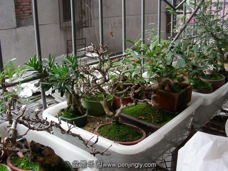DSCN3614.JPG