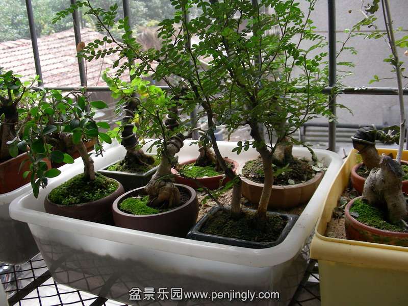 DSCN3615.JPG
