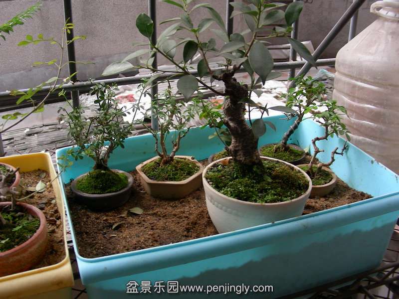 DSCN3617.JPG