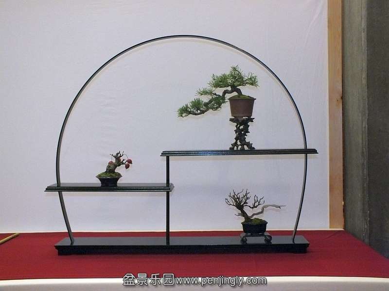 EUK Bonsai Ten 2013 045ab.jpg