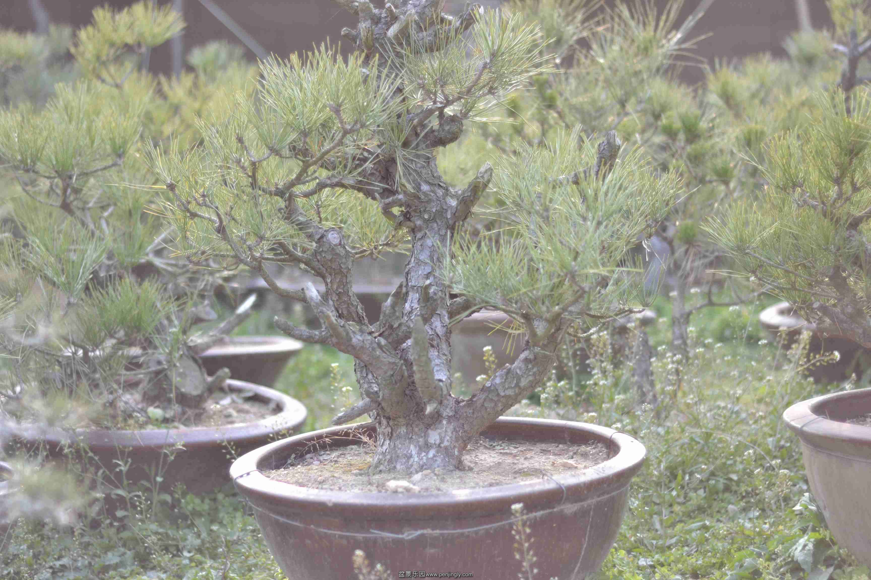 2013-12-19ز 003.jpg