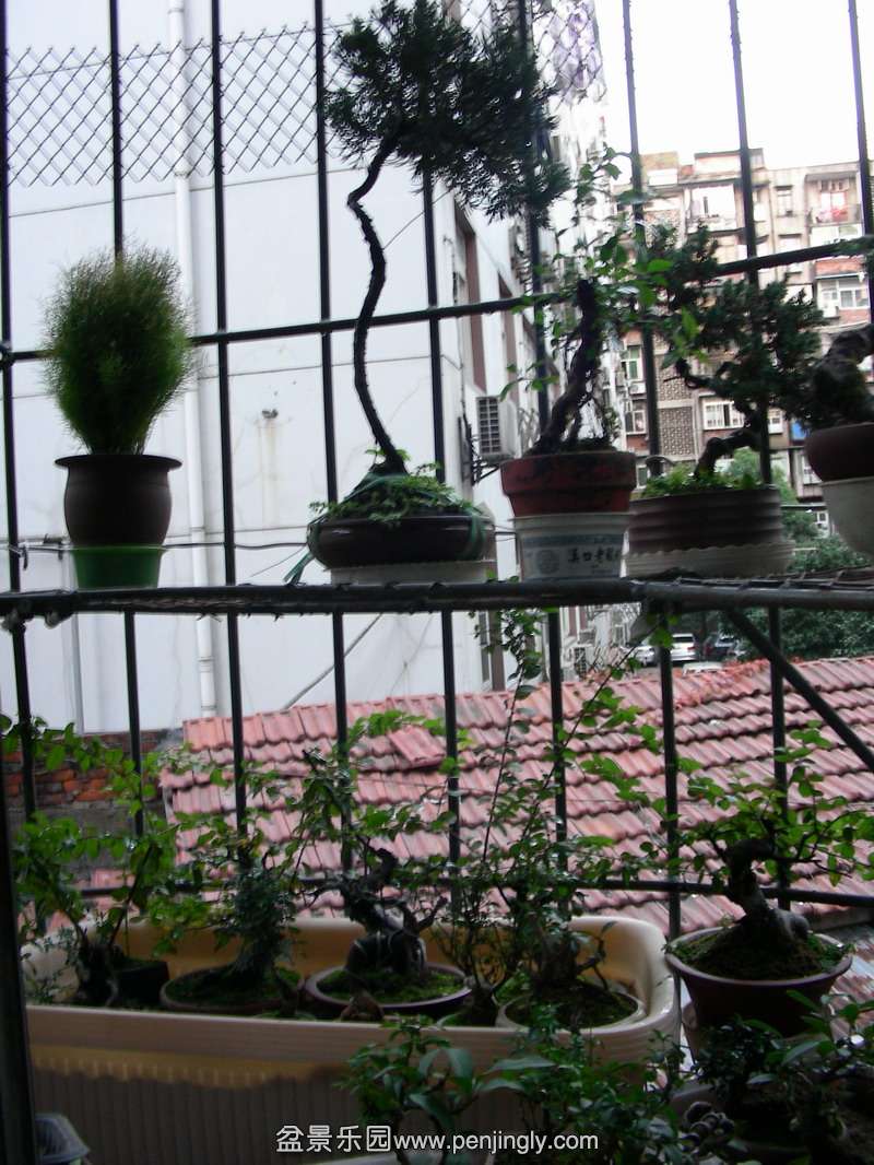 DSCN3573.JPG