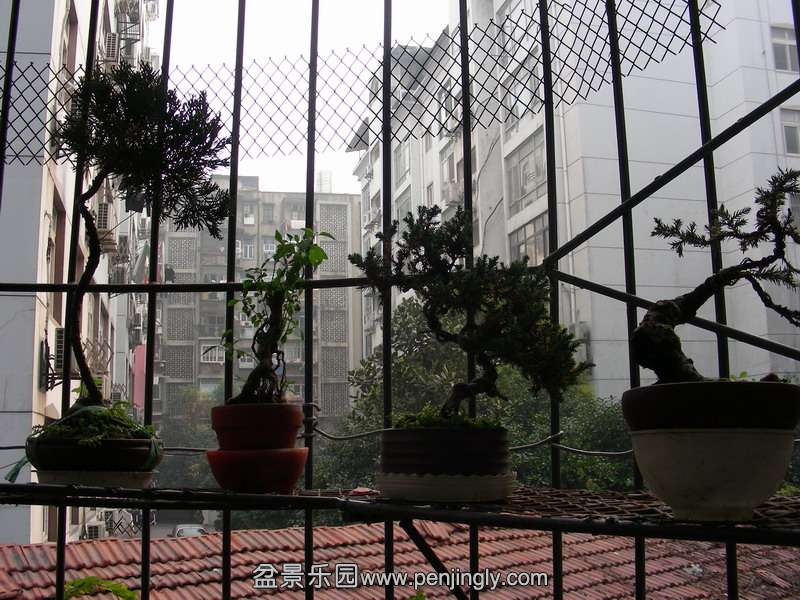 DSCN3598.JPG