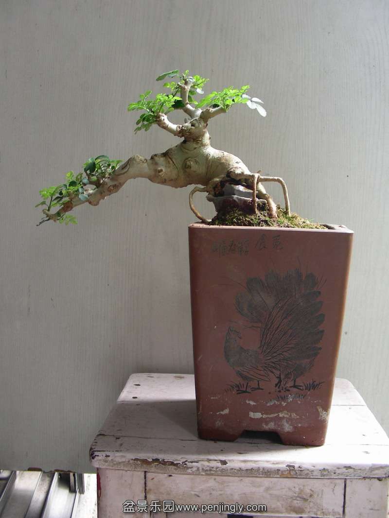 DSCN3561.JPG