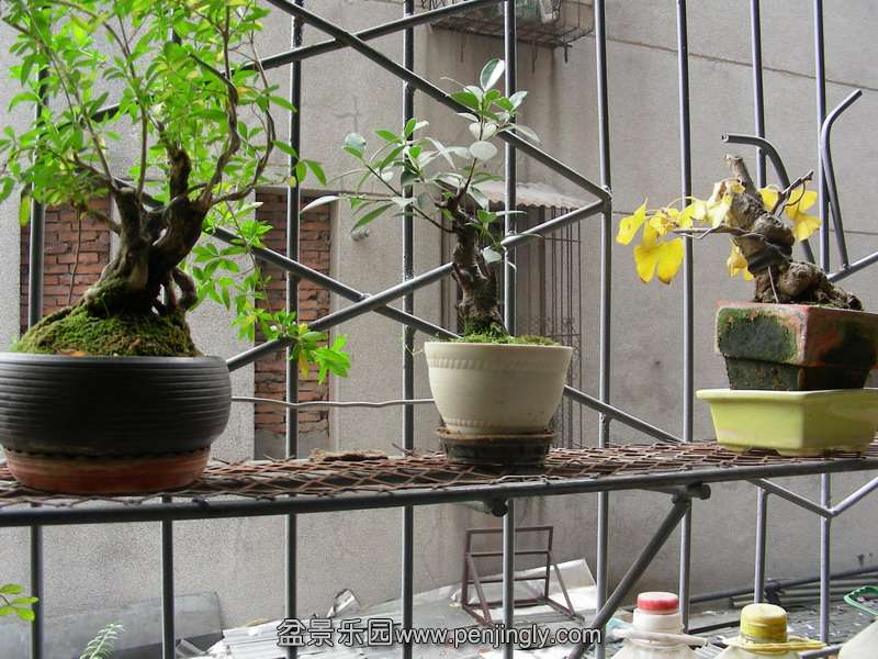DSCN3618.JPG