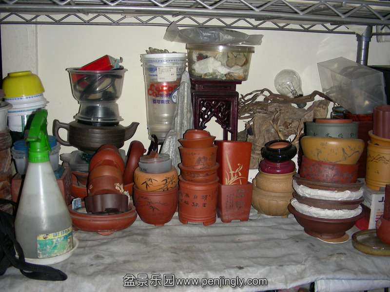 DSCN3570.JPG
