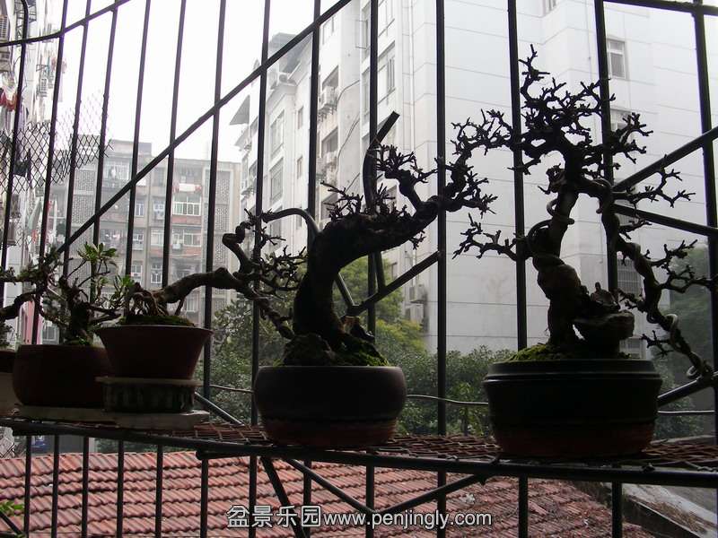 DSCN3599.JPG
