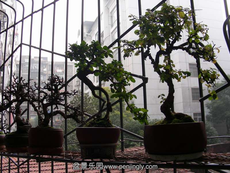 DSCN3600.JPG