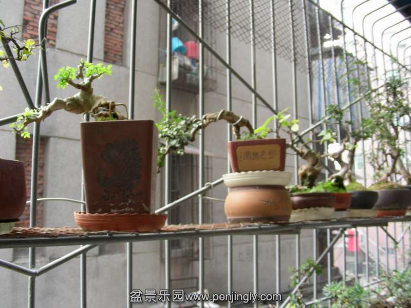 DSCN3601.JPG