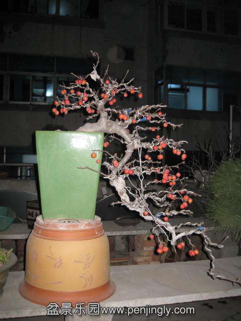 IMG_4767.JPG