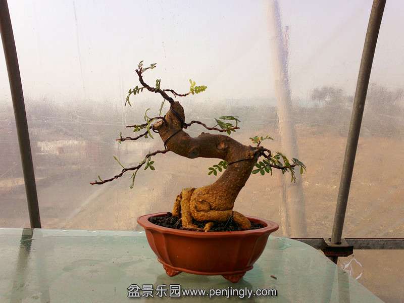 20131222620_.jpg