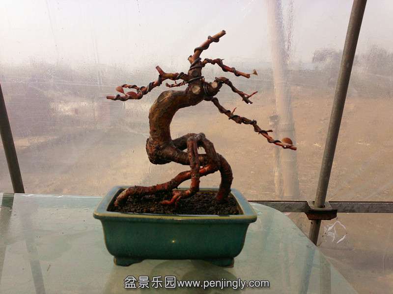 20131222617_.jpg