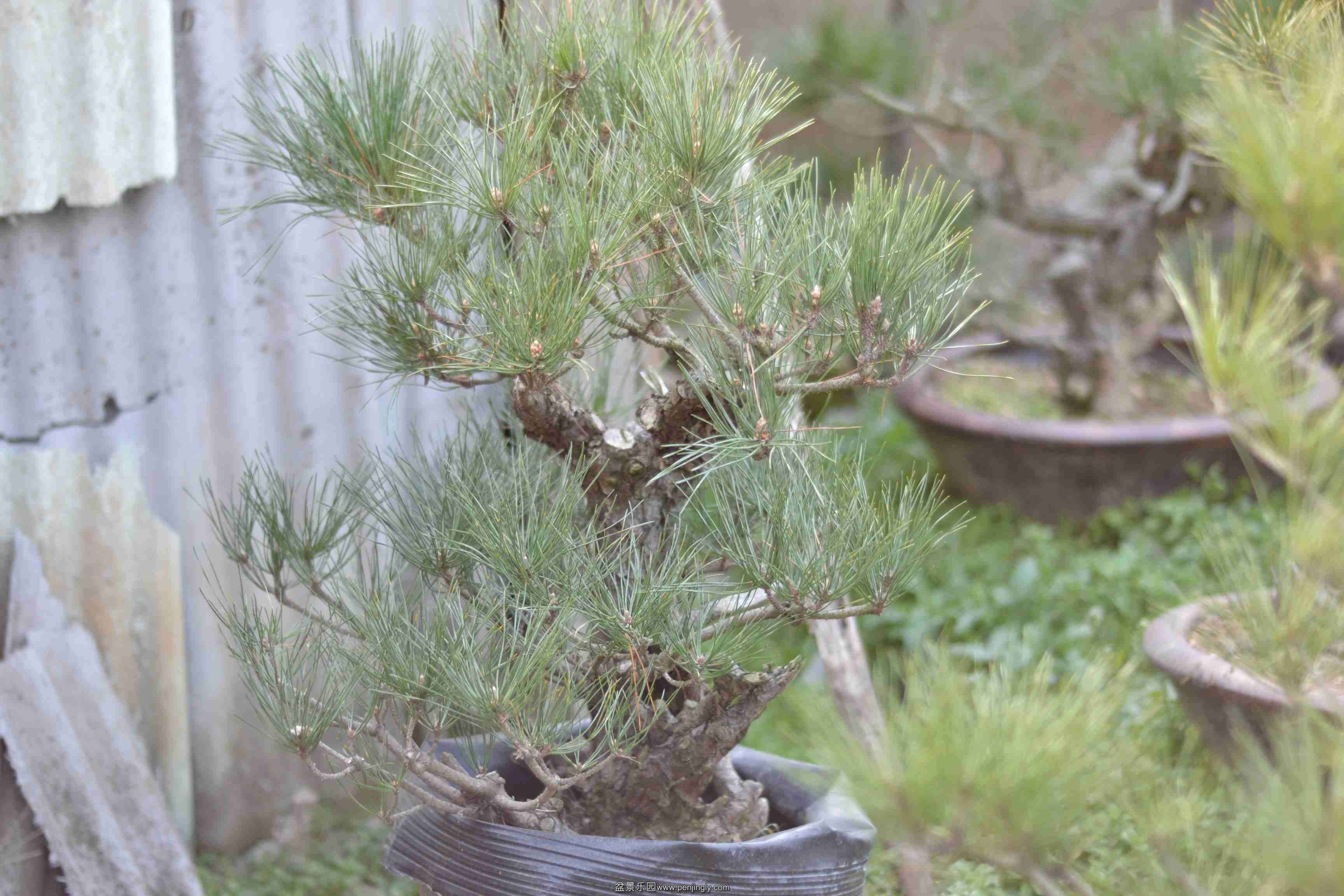 2013-12-19ز 007.jpg