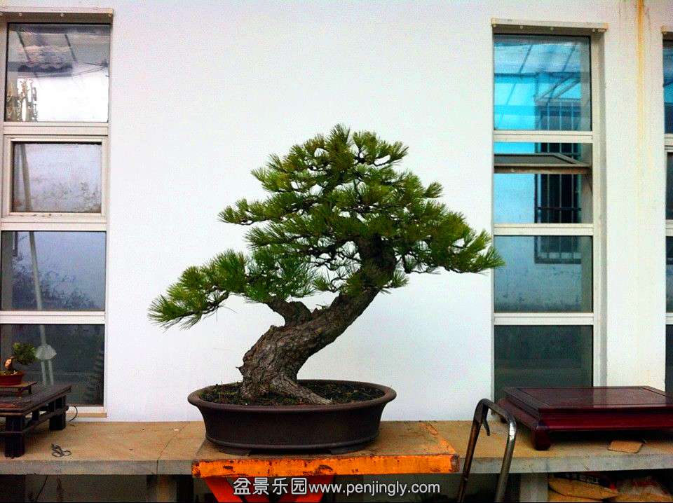 QQͼƬ20131223192832_.jpg