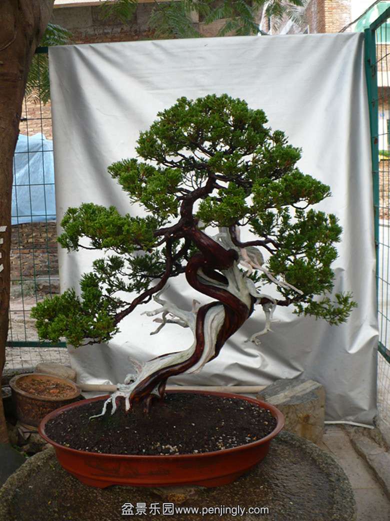P1040207_.jpg