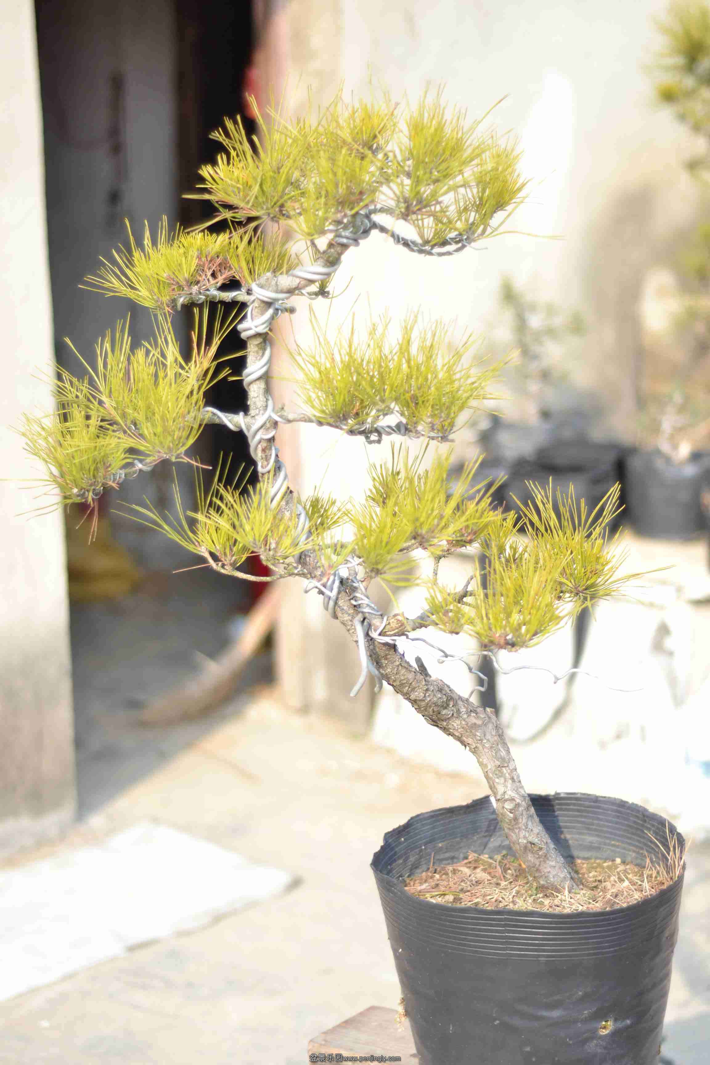 2013-12-23СƷ 007.jpg
