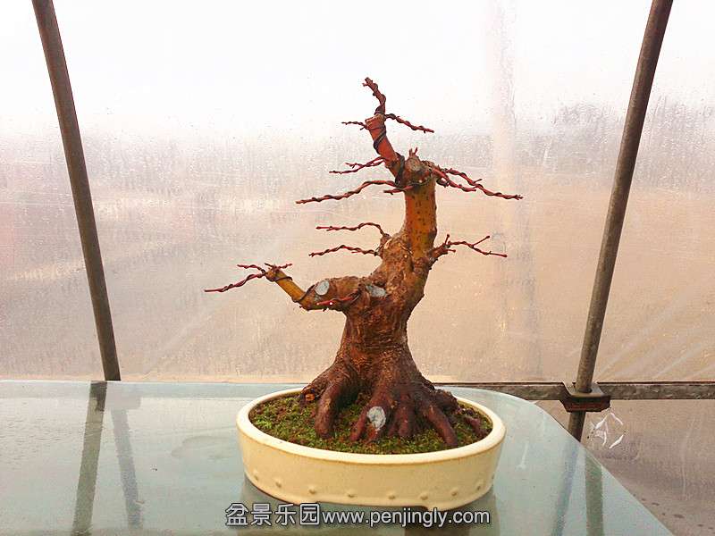 20131224625_.jpg