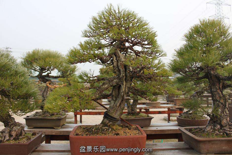 Ƭ 037.jpg