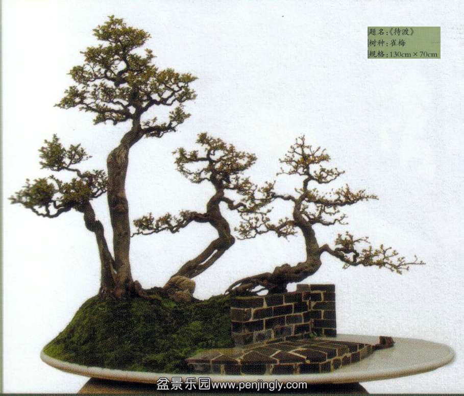 ǿ -ȸ÷.jpg