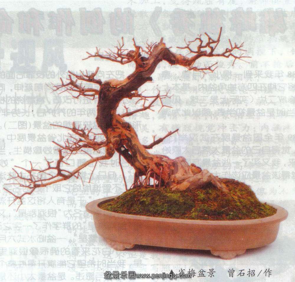 ʯ-ȸ÷֡ľ2000-3 .jpg
