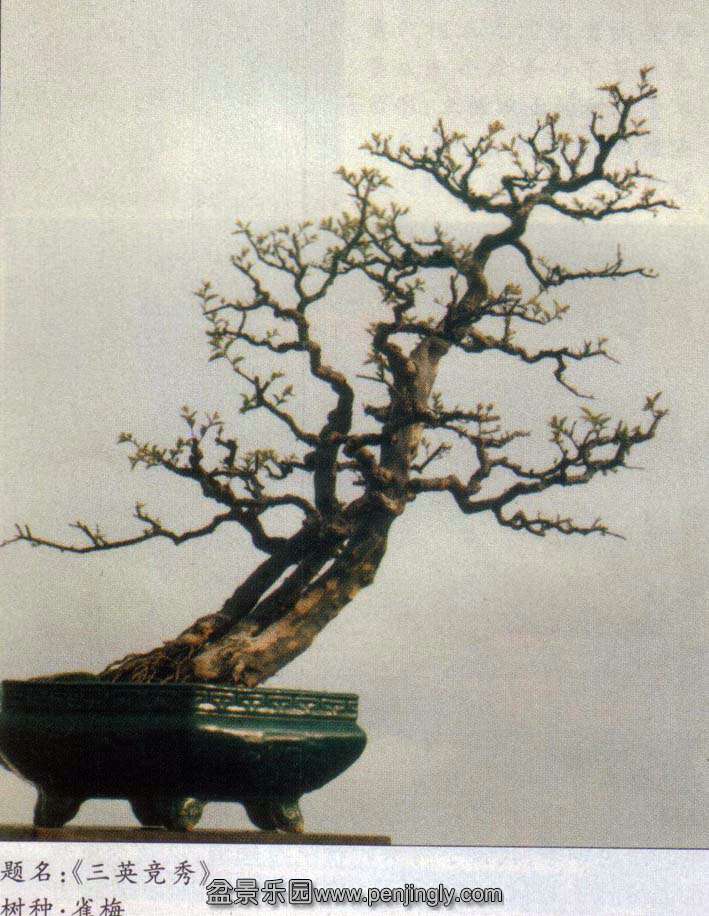   ȸ÷2.jpg