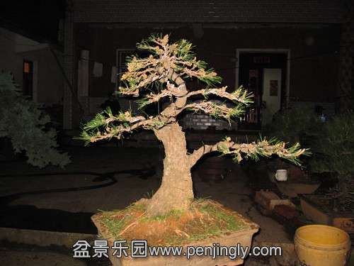 IMG_5138__.jpg