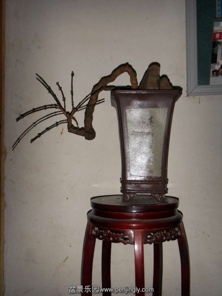 SDC18184.JPG