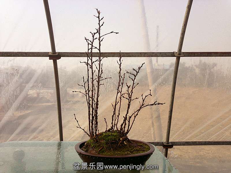 20131228634_.jpg
