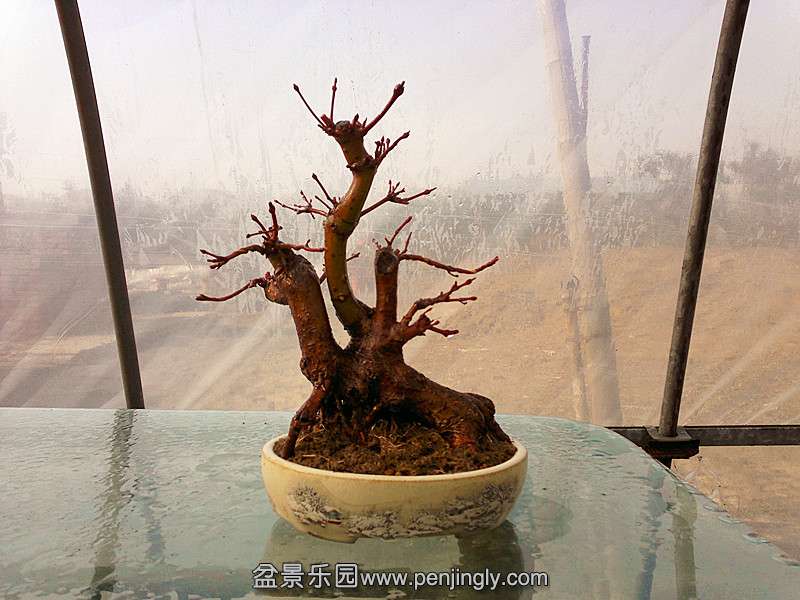 20131228630_.jpg