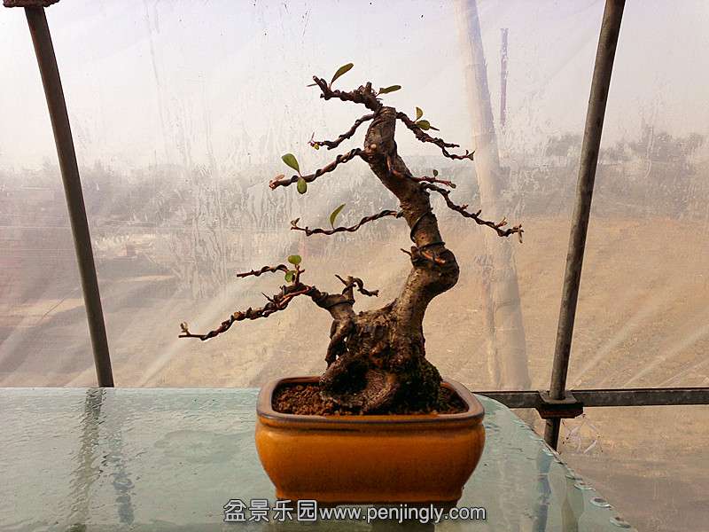 20131228632_.jpg