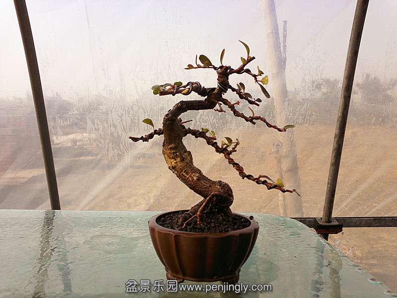 20131228633_.jpg