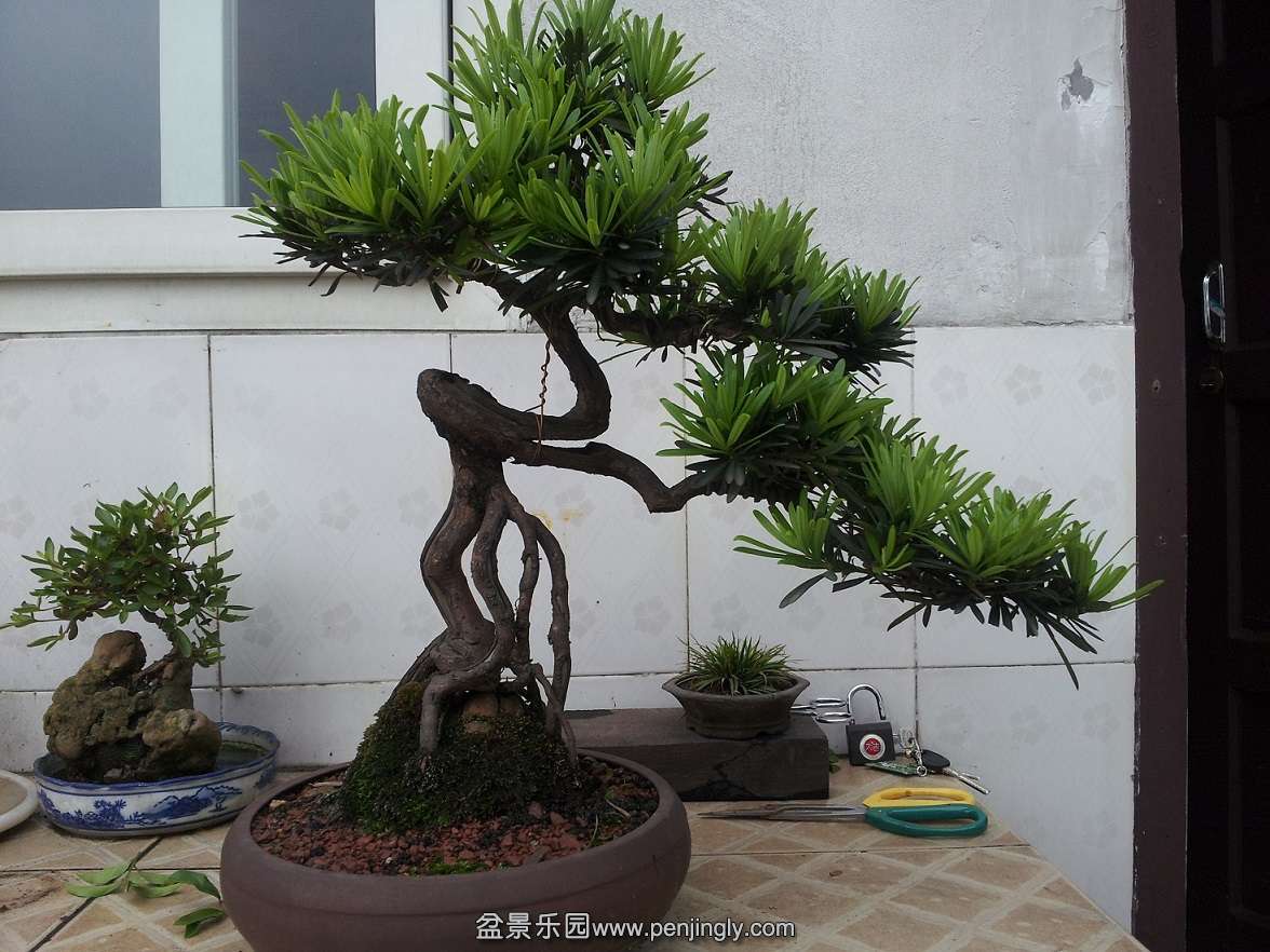 20120501_172608.jpg