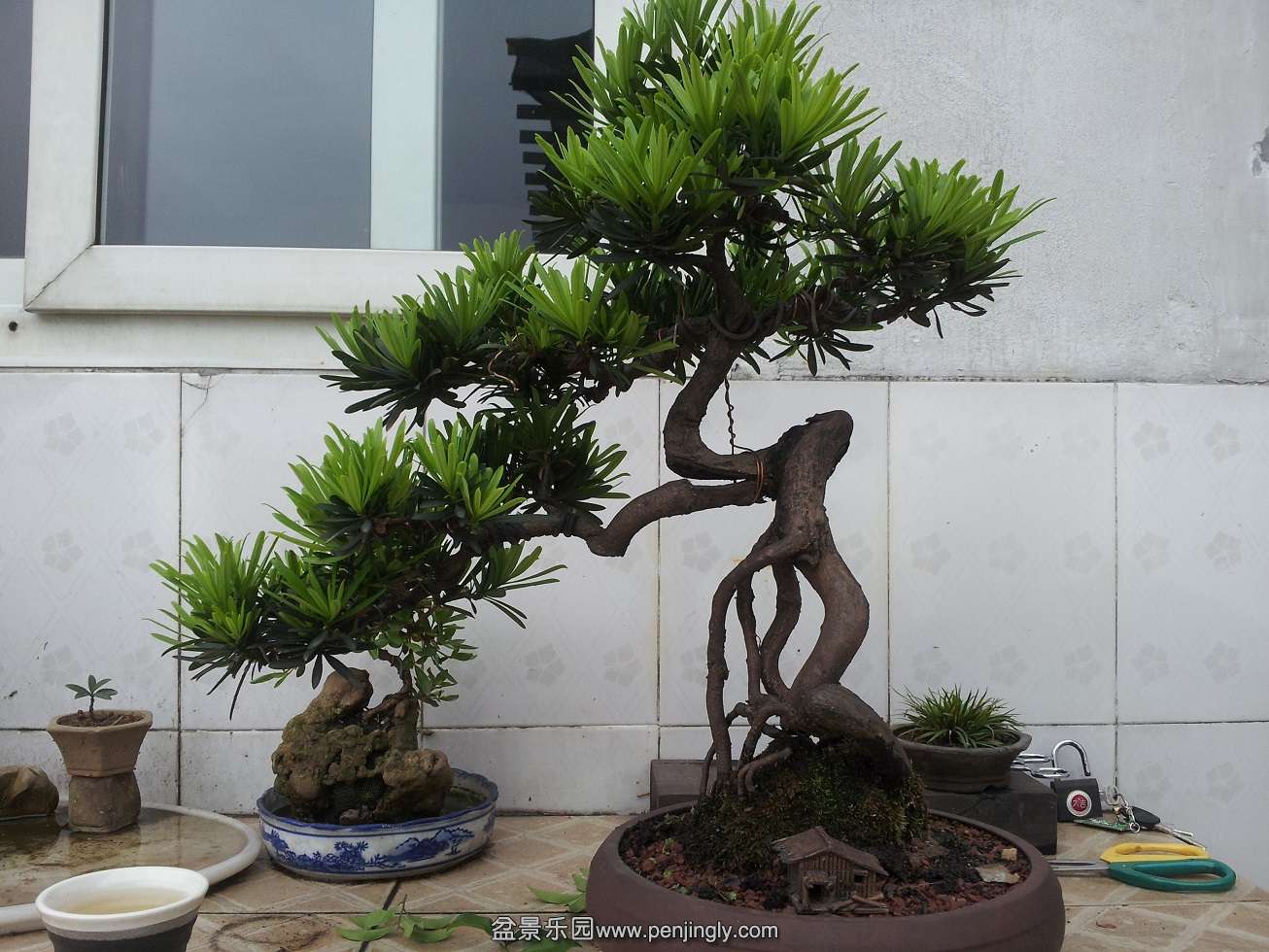 20120501_172635.jpg
