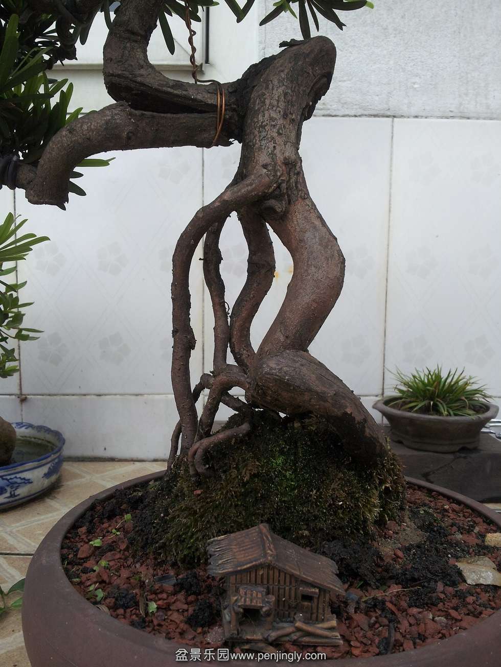 20120501_172654.jpg