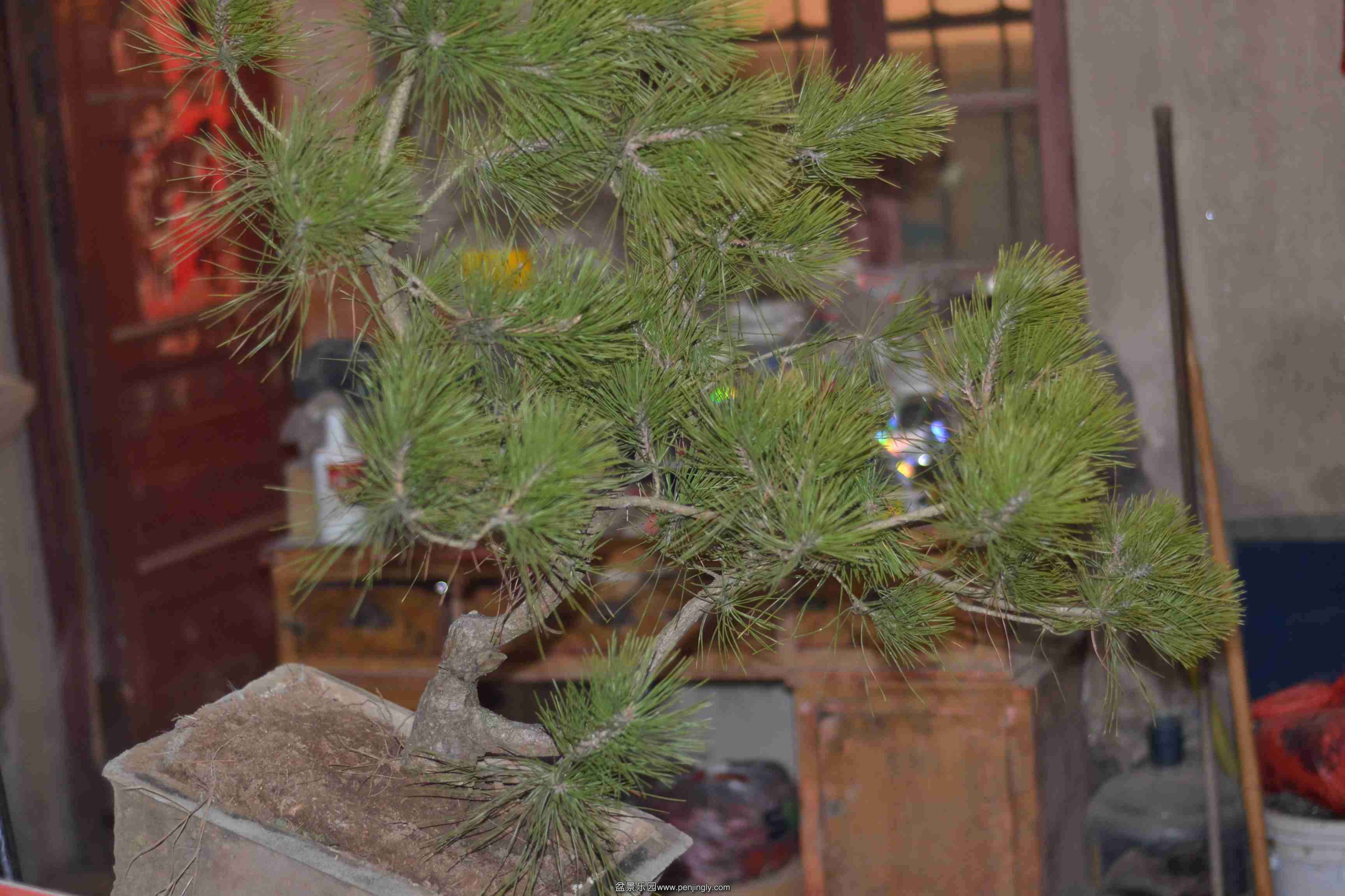 2013-12-28 001.jpg
