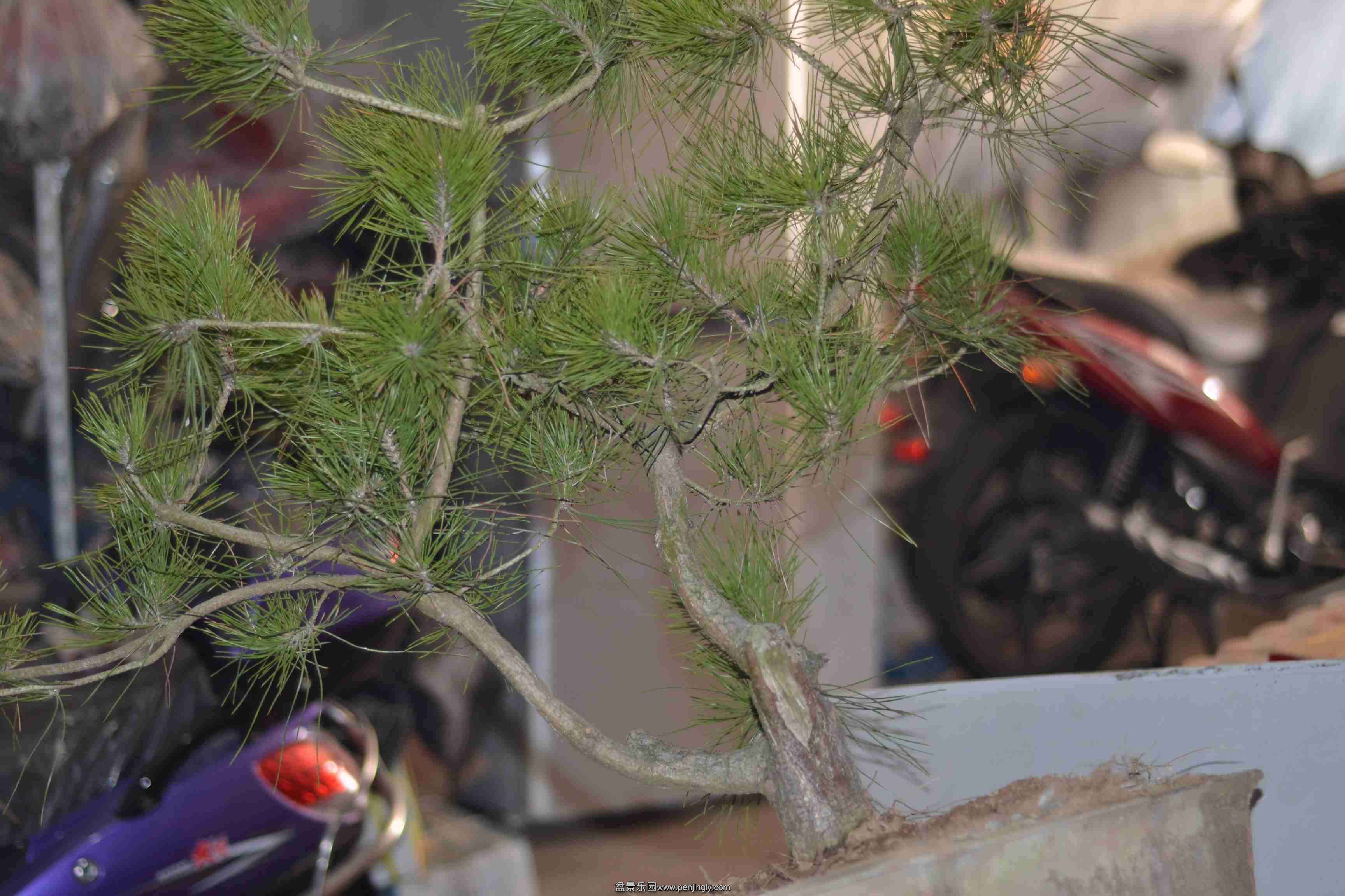 2013-12-28 002.jpg