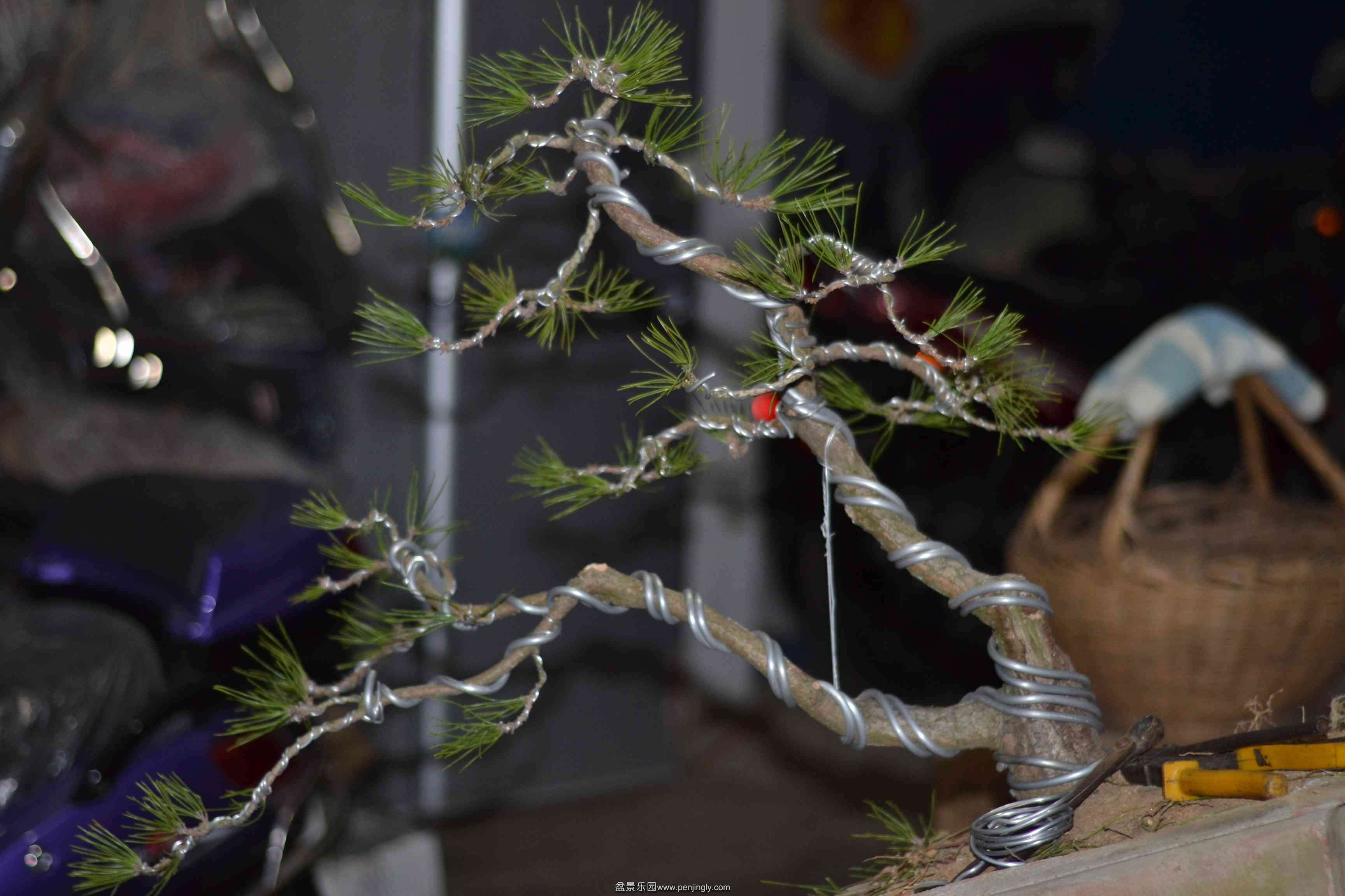 2013-12-28 005.jpg